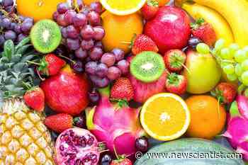 We are witnessing an accelerated shift in how people view food - New Scientist