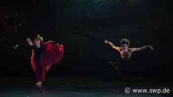 Theater Ulm: Nachtkritik: Reiner Feistels Tanzabend „Ein Sommernachtstraum“ - SWP