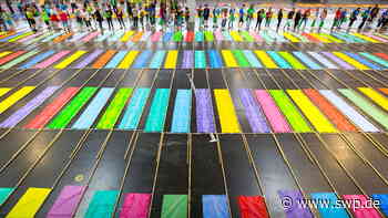 10 Jahre EU-Donauraumstrategie: Ulm gibt den Anstoß - SWP