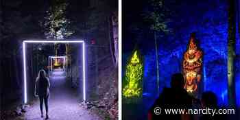 You Can Explore A Glowing Enchanted Forest At Mont Tremblant - Narcity Canada