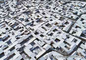 From the countryside to outer space: why the 2021 Venice Architecture Biennale is all about crossing new frontiers - The Calvert Journal