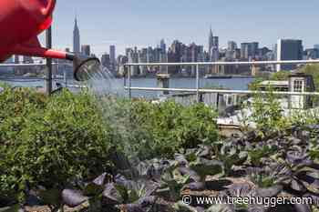 Use Your Home’s Architecture to Help Grow Food - Treehugger
