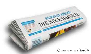 Mechatroniker in Schramberg: Berufsschulen VS büßen Klassen ein-Kreis Schwarzwald-Baar - Neckarquelle