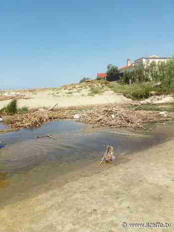 Spiaggia di Ardea invasa da rifiuti ed erbacce: - Il Caffè.tv