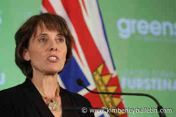 BC Green leader Furstenau introduces old-growth logging petition - Kimberley Bulletin
