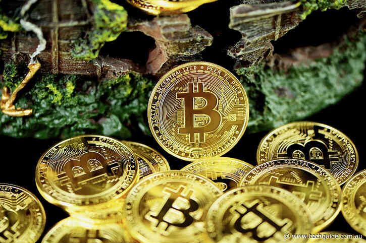 How is cryptocurrency trading easier with Android? Let’s enlighten you!