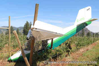 Plane crash lands into Grand Forks orchard, pilot injured – Comox Valley Record - Comox Valley Record