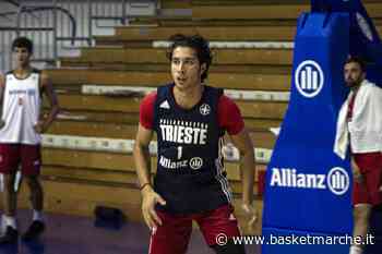 Olimpia Milano, vicino l'arrivo dell'ala Davide Alviti - Serie A Girone Unico - Basketmarche.it