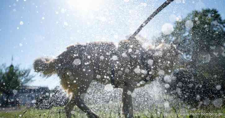 Brütende Hitze in Deutschland – Zum Wochenstart Abkühlung