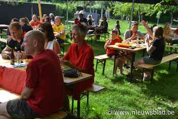 Toon laat in boomgaard genieten van EK-voetbal - Het Nieuwsblad
