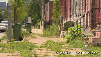 Police Charged Kevin Dudley In Murder Of Missing Baltimore Teen Kozee Spriggs - CBS Baltimore