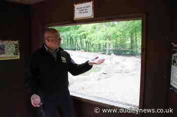 Dudley Zoo graffiti damage likely to cost thousands to repair - Dudley News