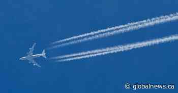 Idea to turn canola into jet fuel aims to take flight in Saskatchewan