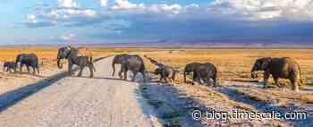 How and why to become a PostgreSQL contributor