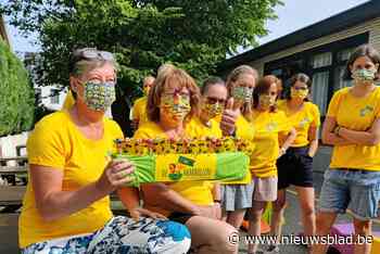 De Marbollen toont zich met nieuw logo (Lint) - Het Nieuwsblad