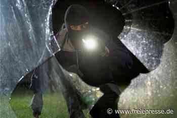 Sicherheit in ihrer Stadt: Die Reichenbacher sollen mitreden - Freie Presse