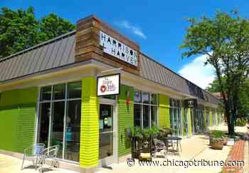 Taco Mucho seeks to open in Oak Park's Harrison Street Arts District later this summer - Chicago Tribune