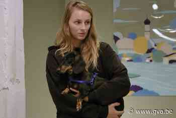 Annelotte ontmaskerde 'De mol' en ging naar huis met laagste groepspot ooit: hoe is het nu met haar? - Gazet van Antwerpen