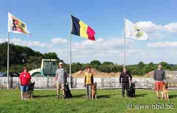 Hondenclub Kringgroep 40 Riemst organiseert BOP-wedstrijd - Het Belang van Limburg