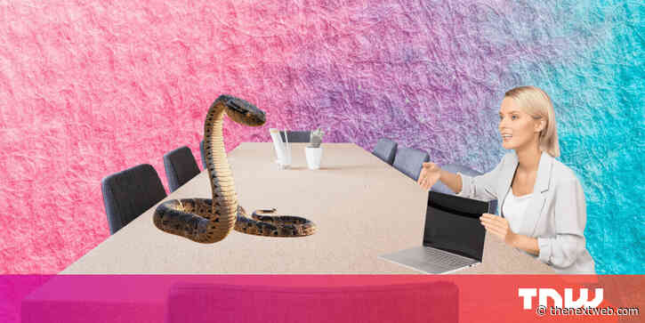 Why Python is not the programming language of the future