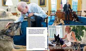 Joe Biden's beloved pet dog Champ dies 