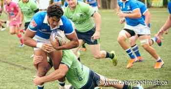 Toronto Arrows face more challenges as Major League Rugby season winds down - The Battlefords News-Optimist