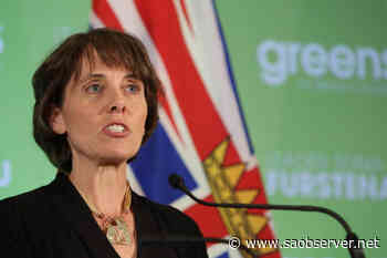 BC Green leader Furstenau introduces old-growth logging petition - Salmon Arm Observer