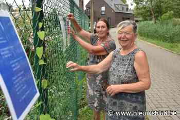 Poëzie wappert aan Weertse afsluitingen