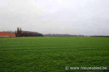 Wereldcafés over toekomst van Boechout - Het Nieuwsblad