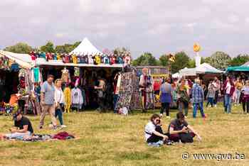 Sfinks gaat deze zomer voor kleinere festivalweekends - Gazet van Antwerpen