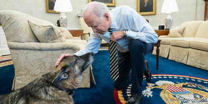 Biden family announces the death of beloved German Shepherd, Champ
