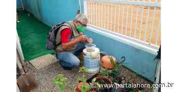 Novos focos do mosquito da dengue são encontrados em Imbituba no bairro com a maior incidência do Aedes aegypti - Portal AHora