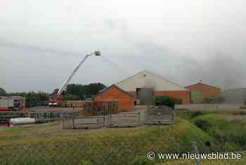 Brand woedt in loods van grootste boomkwekerij van het land