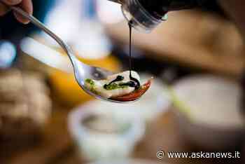 Centinaio ad aceto balsamico Modena: difenderemo da ogni attacco - Agenzia askanews