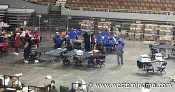 AZ Audit Reviewing Thousands of Ballots Where Machines Did Not Detect Vote for President, Audit Liaison Says