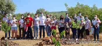 Navas de San Juan entrega los cheques bebés y plantación de un árbol a 18 familias | Hora Jaén - HoraJaén