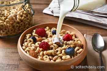 Breakfast Foods Are Fortified for a Reason: Skip Morning Meal, Miss Out on Nutrients