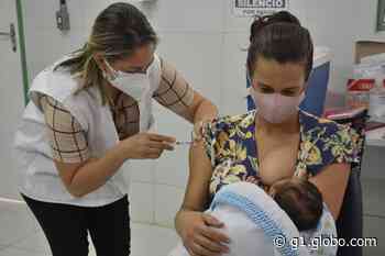 Varginha e Pouso Alegre começam a vacinar grávidas e puérperas sem comorbidades contra a Covid-19 - G1