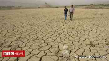 Climate change: UN virtual talks make little progress