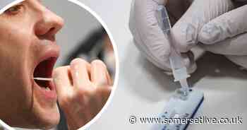 Coronavirus cases spike in one part of Somerset - Somerset Live