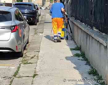 “Erba selvaggia”, interpellanza di Colombara (Quartieri al centro): “mandiamo i ragazzi a estirpare erbacce dai monumenti” - Vicenza Più