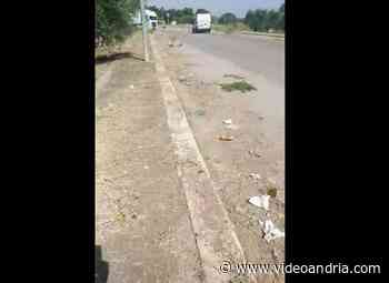 Andria: guardate quanti rifiuti emergono dopo uno sfalcio di erba - video diffuso da 3Place - VideoAndria.com