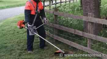 Là dove c'era l'erba adesso si pulisce - Qui News Pistoia