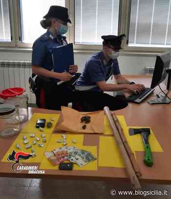 L’erba tra gli slip, in bagno ed in cucina, disoccupato arrestato - BlogSicilia.it