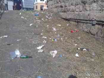 Taglio erba lungo i fossi, da foresta a normalità. Questo è quello che c'era nascosto - Livorno Press