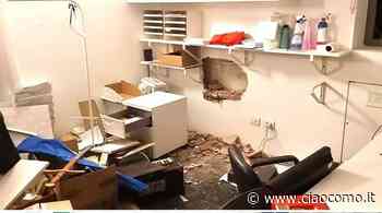 Erba-choc, i ladri negli uffici di notte e rubano la cassaforte di "Noivoiloro":"Che tristezza..." - CiaoComo