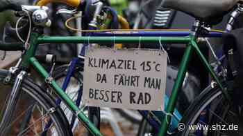 Gemeinsamer Antrag: Politik fordert Klimaschutzmanager für Schenefeld | shz.de - shz.de