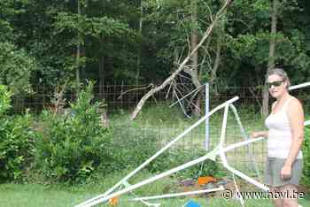 Onweer richt schade aan in Leopoldsburg en Lommel - Het Belang van Limburg