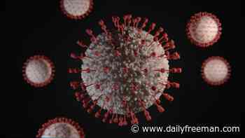 Dutchess County's coronavirus cases decline by two to 74 - The Daily Freeman