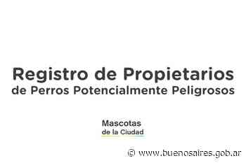 Registro de Propietarios de Perros Potencialmente Peligrosos | Noticias - buenosaires.gob.ar